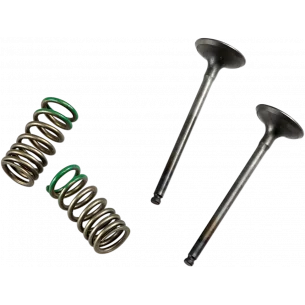 PROX įsiurbimo vožtuvų komplektas (su spyruoklėmis) Yamaha YZF 250 (01-13) WRF 250 (01-13)
