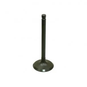 BRONCO Įsiurbimo vožtuvas Yamaha YFM600FG Grizzly 4WD 1998-2001 4WV-12111-00-00