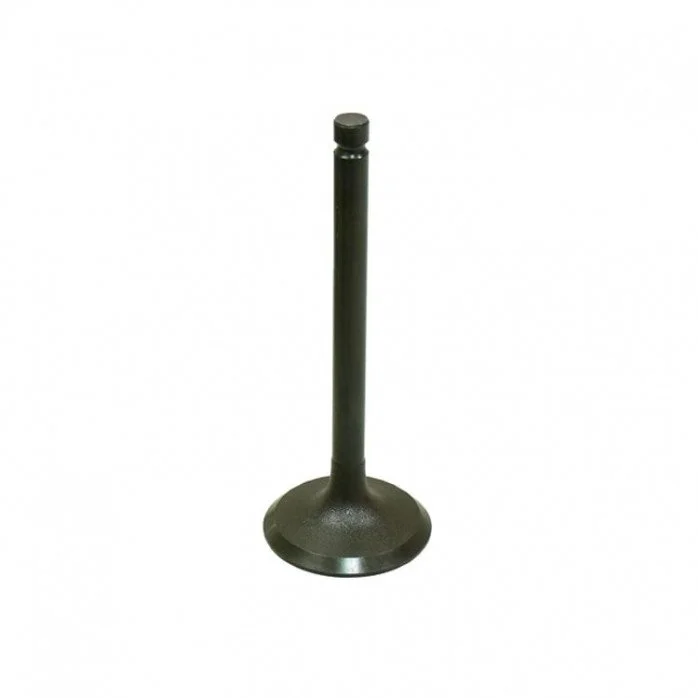 BRONCO Įsiurbimo vožtuvas Yamaha YFM600FG Grizzly 4WD 1998-2001 4WV-12111-00-00