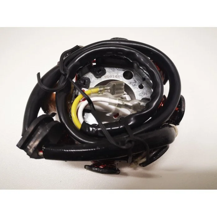 ELECTROSPORT Generatorius KTM 400/450/520/525 OEM