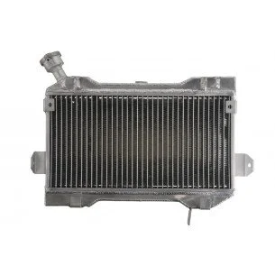 4RIDE Variklio radiatorius SUZUKI LT-R 450 2006-2009