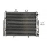 4RIDE Variklio radiatorius POLARIS RANGER, ACE 500/570/800 2008-2018