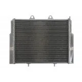 4RIDE Variklio radiatorius POLARIS RANGER, ACE 500/570/800 2008-2018