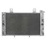 4RIDE Variklio radiatorius YAMAHA YXR 700 2008-2013