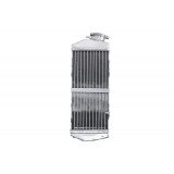 Variklio radiatorius BETA RR 250/300 2013-2016