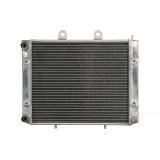 4RIDE Variklio radiatorius POLARIS SPORTSMAN 800 2005-2015