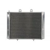 4RIDE Variklio radiatorius POLARIS SPORTSMAN 800 2005-2015