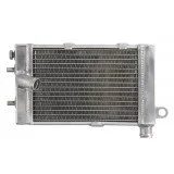 4RIDE Variklio radiatorius APRILIA TUONO 1000 2002-2005