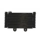 4RIDE Alyvos radiatorius SUZUKI GSF 600/650 1995-2006