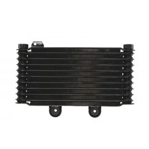 4RIDE Alyvos radiatorius SUZUKI GSF 600/650 1995-2006