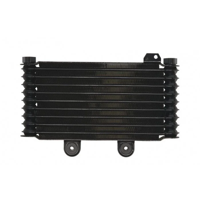 4RIDE Alyvos radiatorius SUZUKI GSF 600/650 1995-2006