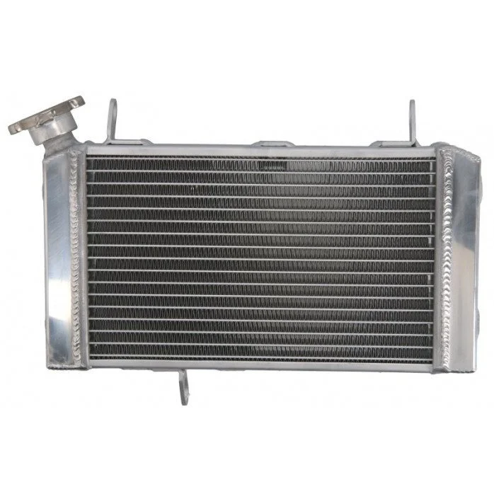 4RIDE Variklio radiatorius SUZUKI SV 650 1999-2002