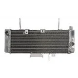 4RIDE Variklio radiatorius SUZUKI SV 650 2003-2004