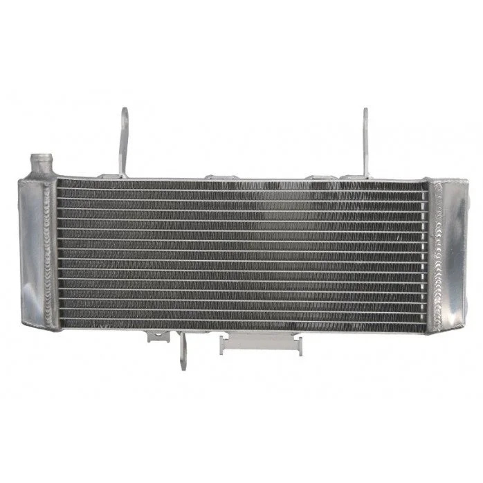 4RIDE Variklio radiatorius SUZUKI SV 650 2003-2004