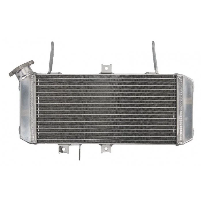 4RIDE Variklio radiatorius SUZUKI SV 650 2005-2010