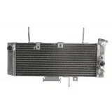 4RIDE Variklio radiatorius SUZUKI SV 650 2003-2004