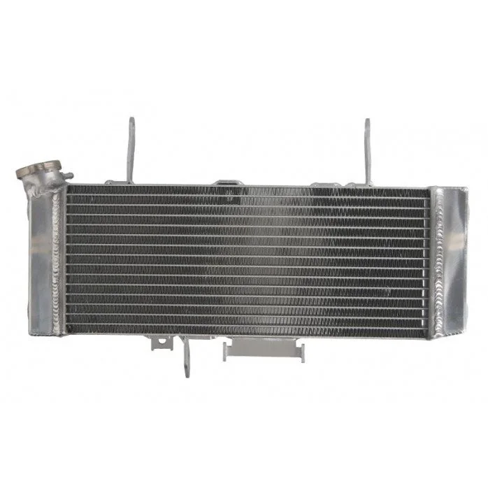 4RIDE Variklio radiatorius SUZUKI SV 650 2003-2004