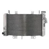 4RIDE Variklio radiatorius SUZUKI GSX 1340 2008-2017