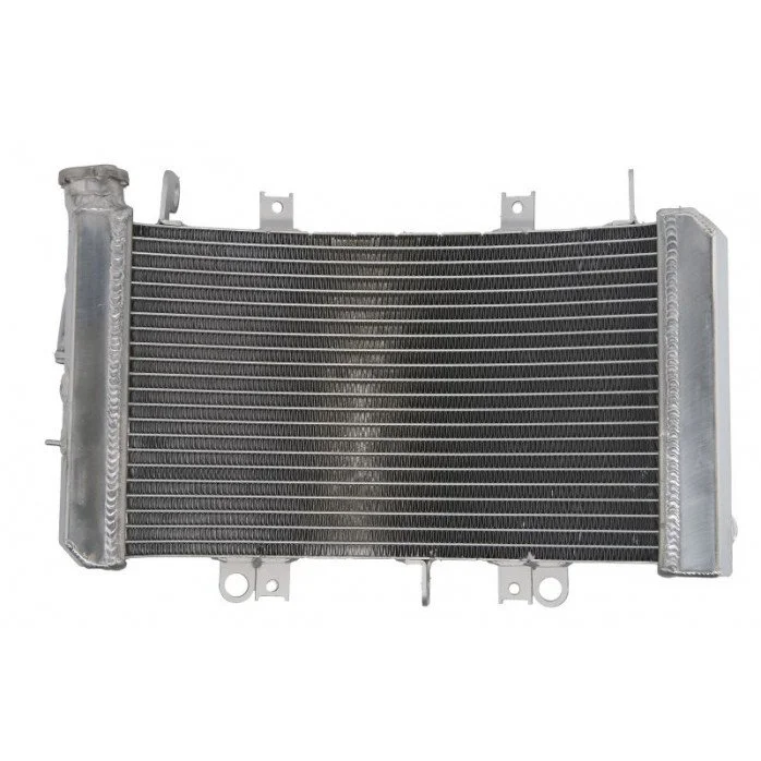 4RIDE Variklio radiatorius SUZUKI GSX 1340 2008-2017
