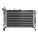 4RIDE Variklio radiatorius YAMAHA FZ6 600 2007-2009