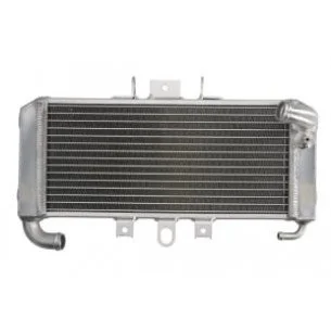 4RIDE Variklio radiatorius YAMAHA FZS 600 1998-2004