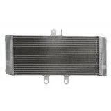 4RIDE Variklio radiatorius SUZUKI GSF, GSX 650/1250 2007-2016