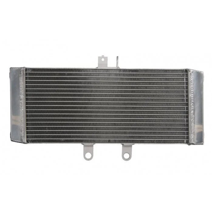 4RIDE Variklio radiatorius SUZUKI GSF, GSX 650/1250 2007-2016