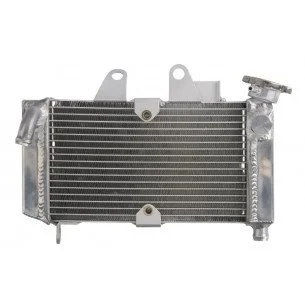 4RIDE Variklio radiatorius HONDA XL 125 2001-2006
