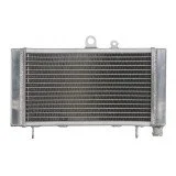 4RIDE Variklio radiatorius HONDA CBF 500 2004-2008