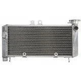 4RIDE Variklio radiatorius HONDA CBF 600 2004-2007