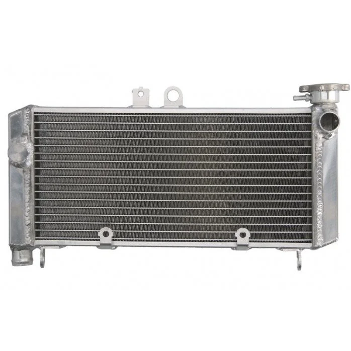 4RIDE Variklio radiatorius HONDA CBF 600 2004-2007