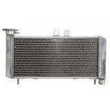 4RIDE Variklio radiatorius HONDA CBF 600 2004-2007