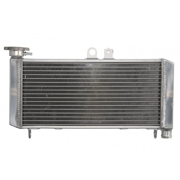 4RIDE Variklio radiatorius HONDA CBF 600 2004-2007