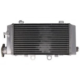 4RIDE Variklio radiatorius HONDA XL 1000 1999-2006