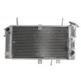 4RIDE Variklio radiatorius SUZUKI SFV 650 2009-2016