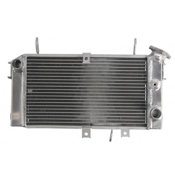 4RIDE Variklio radiatorius SUZUKI SFV 650 2009-2016
