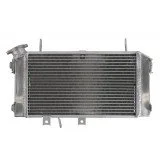 4RIDE Variklio radiatorius SUZUKI SFV 650 2009-2016