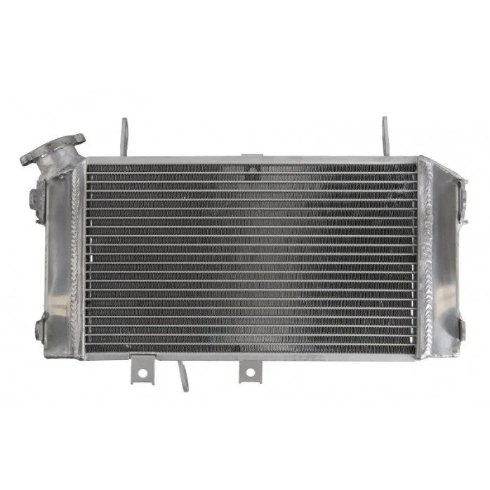 4RIDE Variklio radiatorius SUZUKI SFV 650 2009-2016