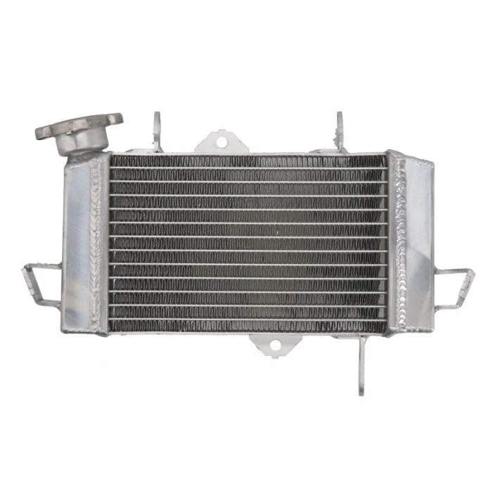 4RIDE Variklio radiatorius YAMAHA YZF R125 2008-2011