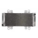 4RIDE Variklio radiatorius KAWASAKI EX 250 2009-2013