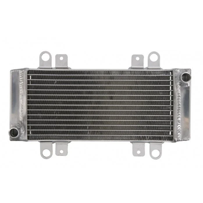 4RIDE Variklio radiatorius KAWASAKI EX 250 2009-2013