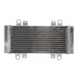 4RIDE Variklio radiatorius KAWASAKI EX 250 2009-2013