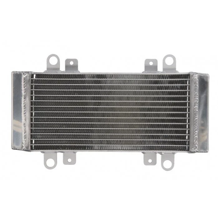 4RIDE Variklio radiatorius KAWASAKI EX 250 2009-2013