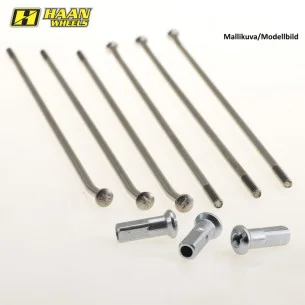 HAAN Galinio rato stipinų komplektas Honda CR/CRF 125 250 450 500 R19