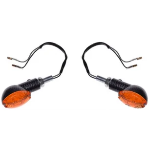 LED Karboninis posūkių žibintų komplektas (12V 1W) M10 x 1,25