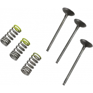 PROX įsiurbimo vožtuvų komplektas (su spyruoklėmis) Yamaha YZF 250 (01-13), WRF 250 (01-13) (WR450F)