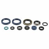 Engine Oil Seals Kit