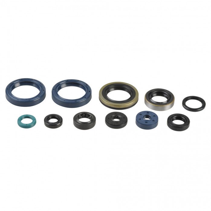 Engine Oil Seals Kit