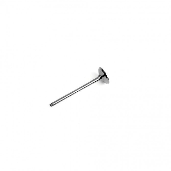 Exhaust Valve