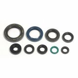 Engine Oil Seals Kit